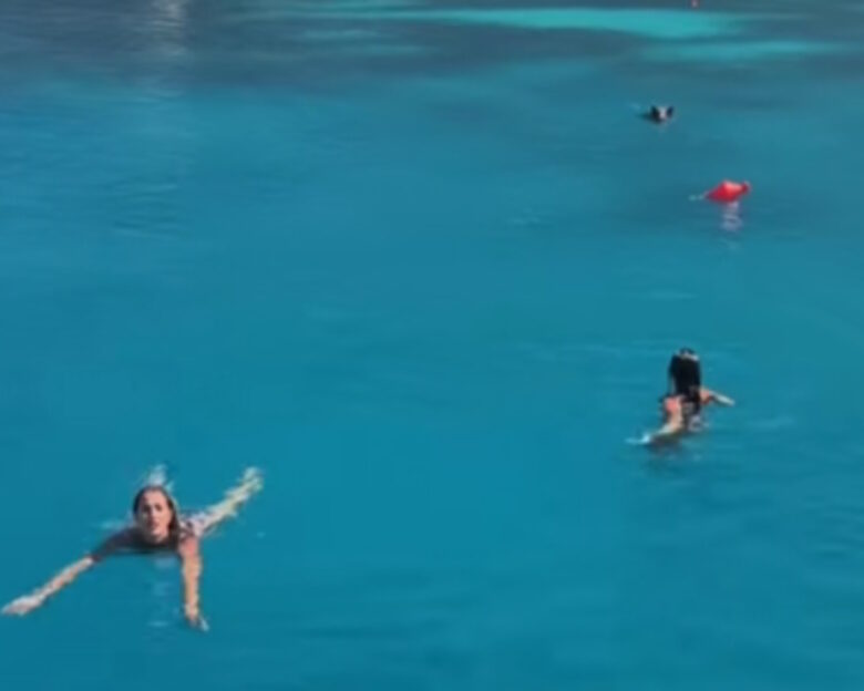 Αγριογούρουνο στην Ιθάκη κυνήγησε τουρίστριες μέσα στη θάλασσα