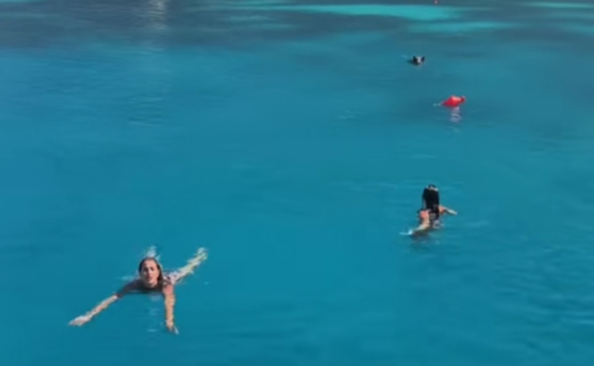 Αγριογούρουνο καταδιώκει τουρίστριες μέσα στη θάλασσα
