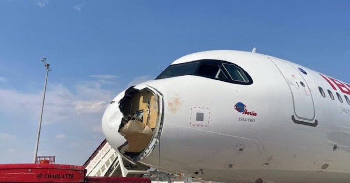 Madrid: Airbus forced landing after a bird impact – engine damage
