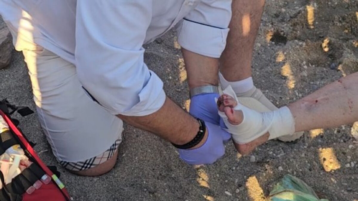 Επίθεση θαλάσσιας χελώνας σε γυναίκα στην Ανάβυσσο