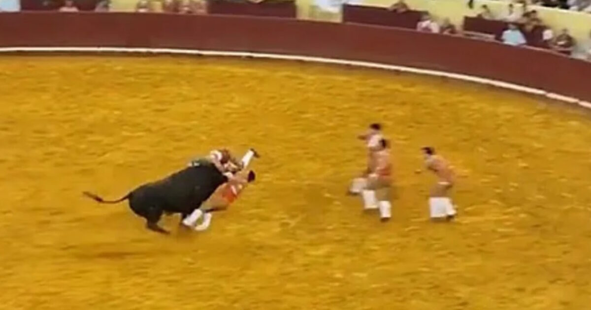The moment bullfighter is killed by a bull in a arena in Lisbon in front of thousands of people – viewer died of opposition