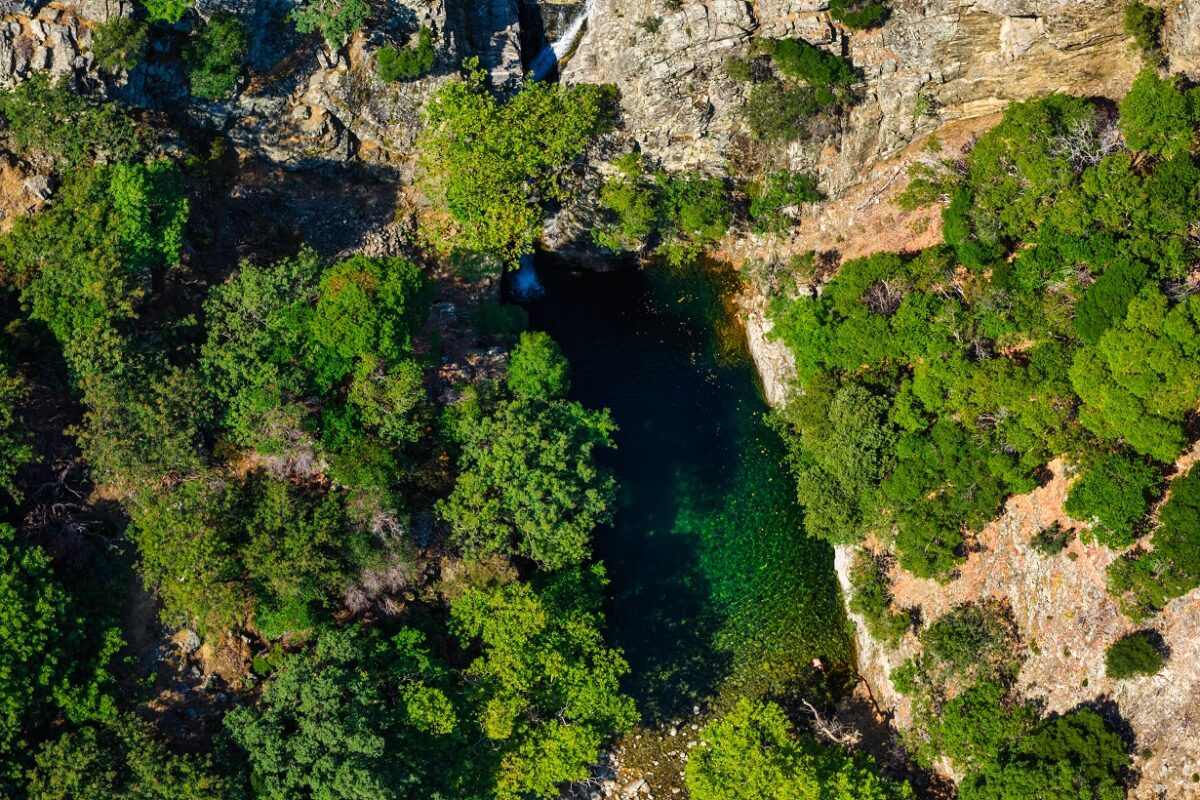 Δάσος