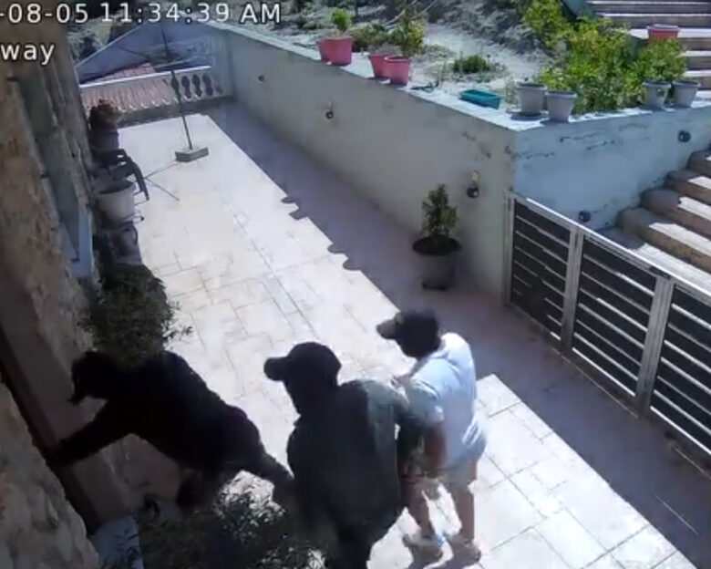 Βίντεο – ντοκουμέντο από εισβολή σε σπίτι στην Αρχαία Κόρινθο: Τέσσερις κουκουλοφόροι παραβιάζουν κατοικία μέρα μεσημέρι