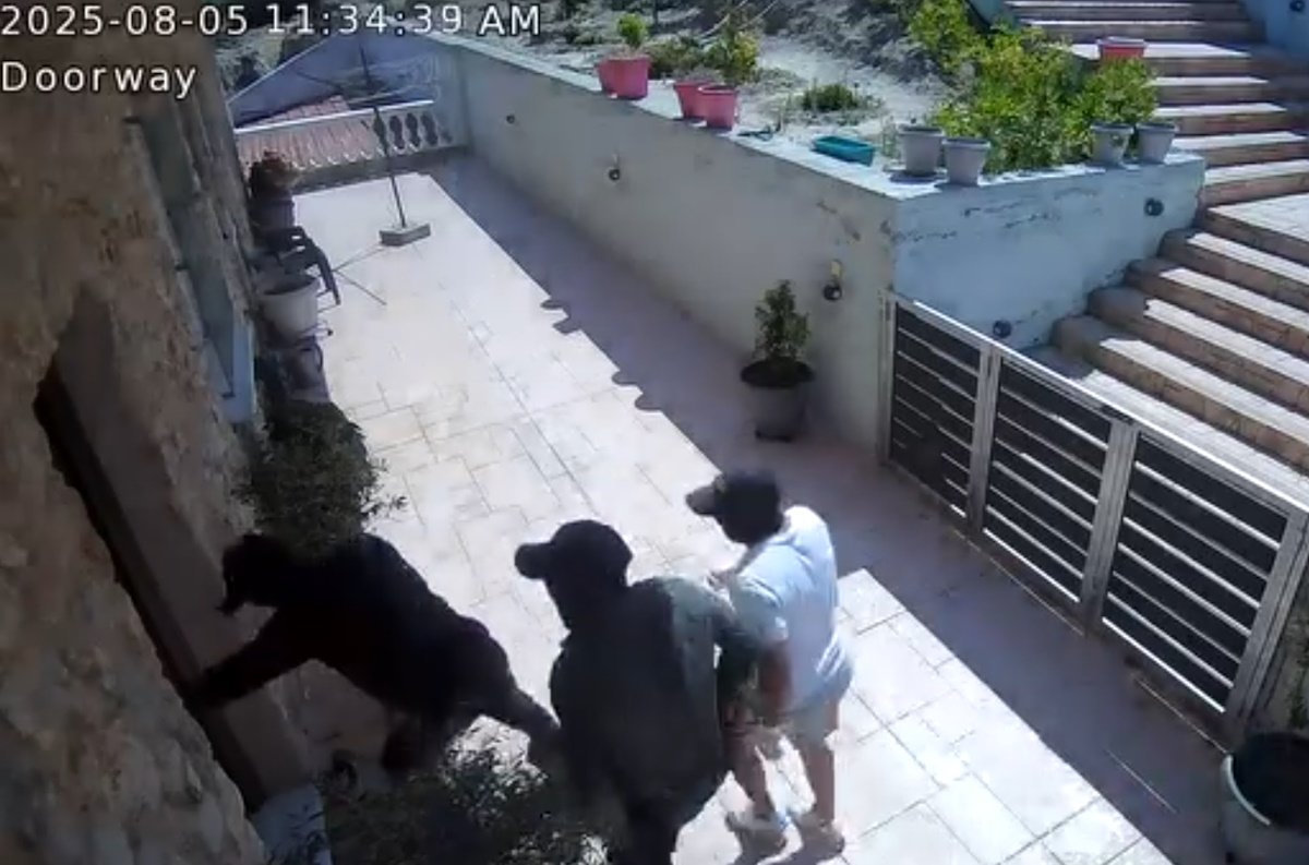 Βίντεο – ντοκουμέντο από εισβολή σε σπίτι στην Αρχαία Κόρινθο: Τέσσερις κουκουλοφόροι παραβιάζουν κατοικία μέρα μεσημέρι