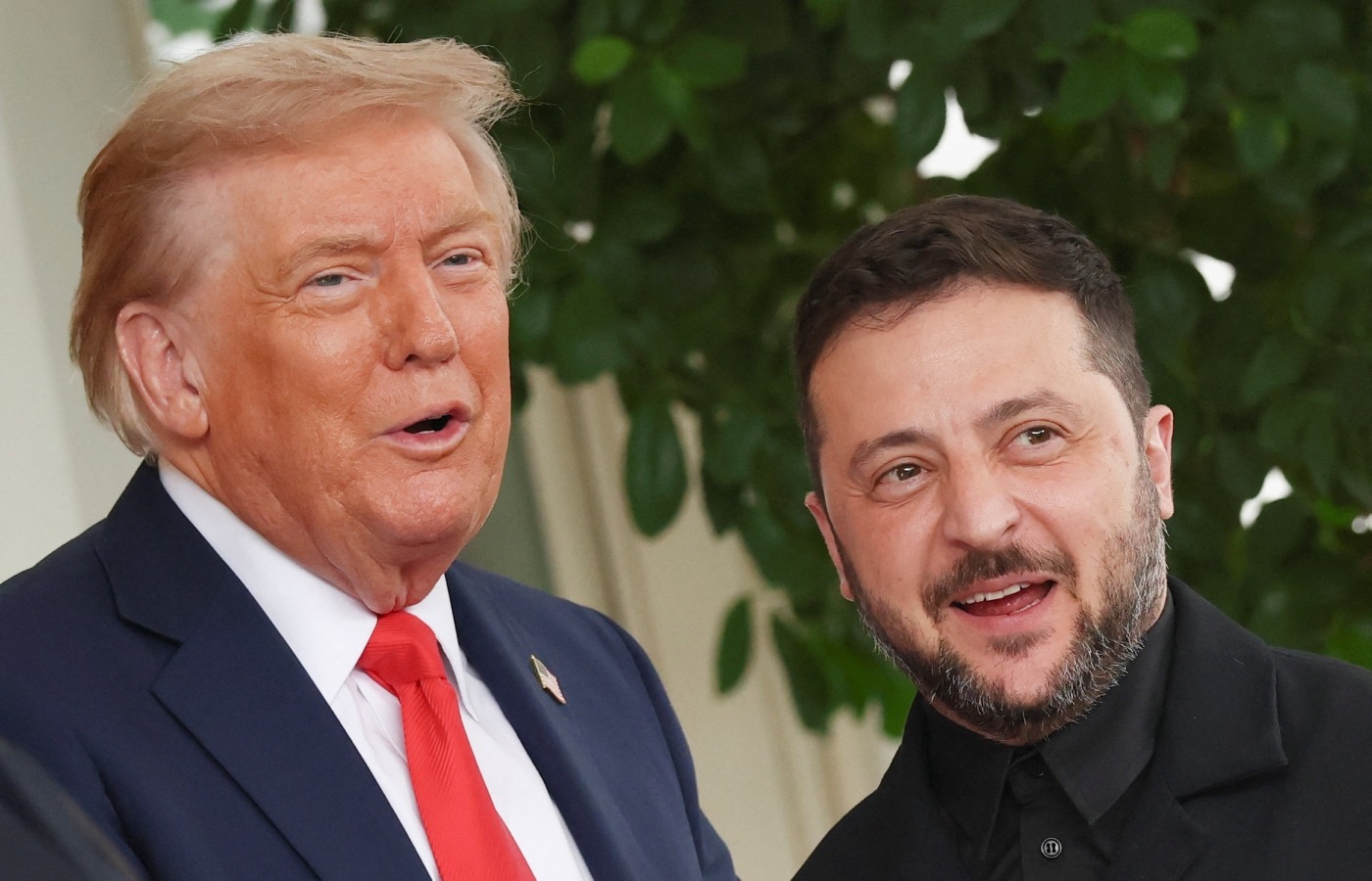 Donald Trump / Volodimir Zelenski