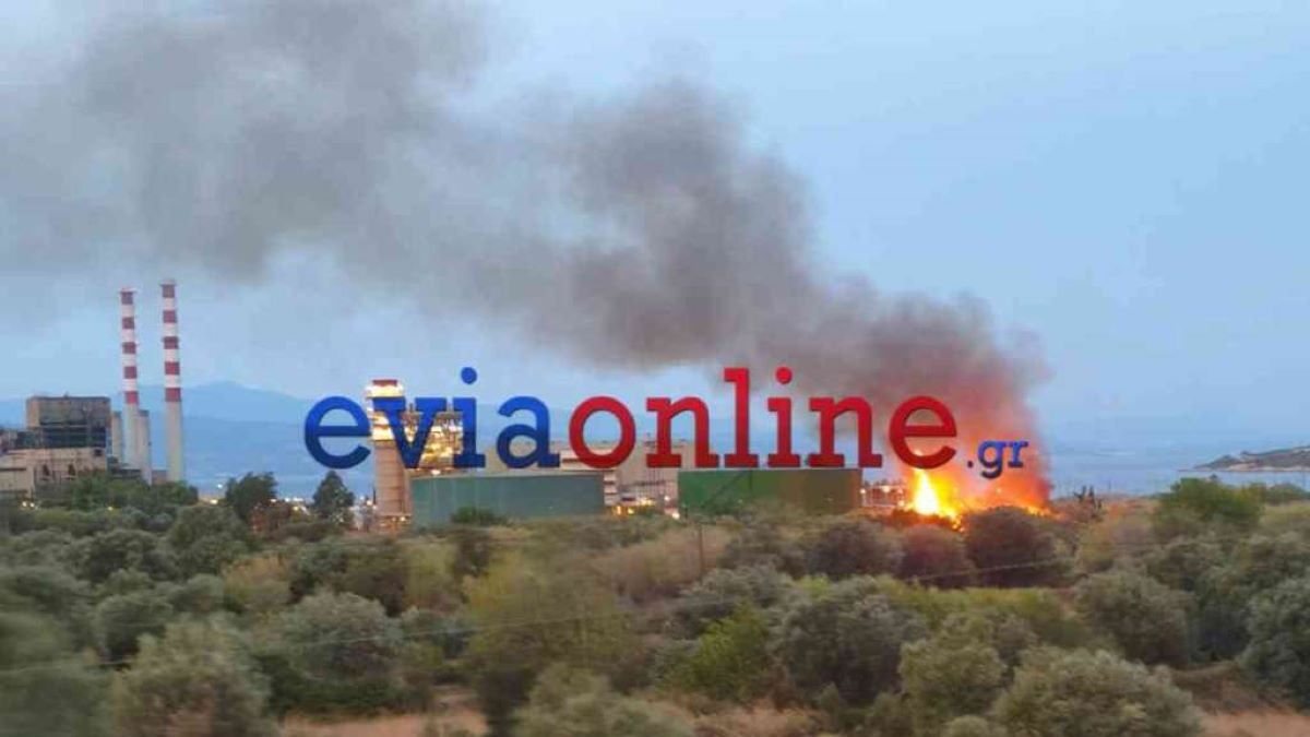 Φωτιά κοντά στο εργοστάσιο φυσικού αερίου της ΔΕΗ στο Αλιβέρι της Εύβοιας