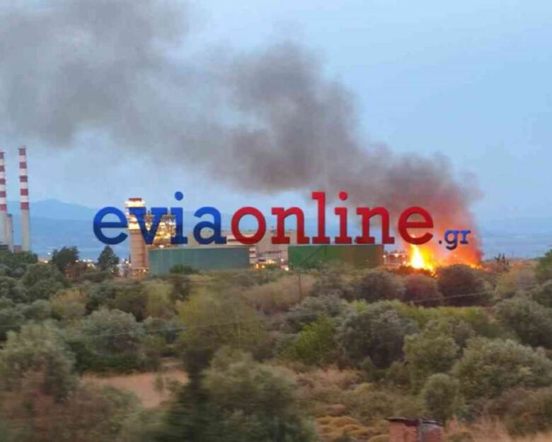 Φωτιά στην Εύβοια δίπλα από το εργοστάσιο της ΔΕΗ στο Αλιβέρι