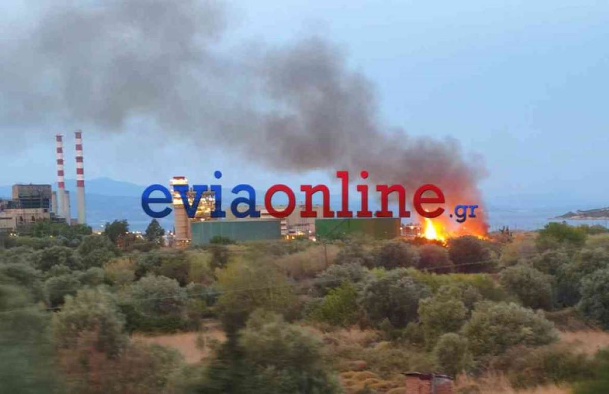 Φωτιά κοντά στο εργοστάσιο φυσικού αερίου της ΔΕΗ στο Αλιβέρι της Εύβοιας