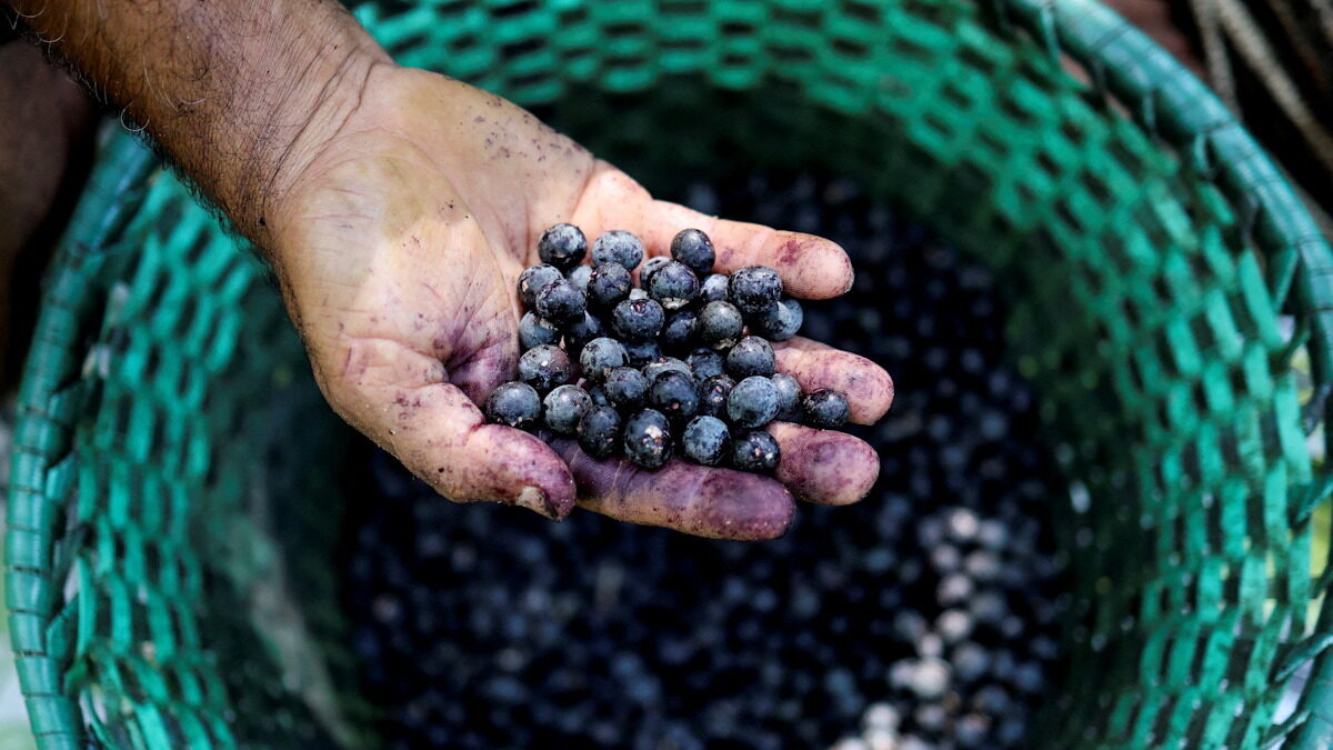 REUTERS