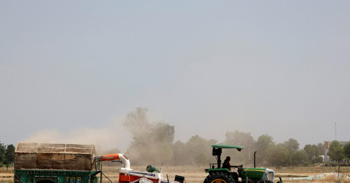 EUR 12 million allowances for flooded fields with ‘verta’ materials