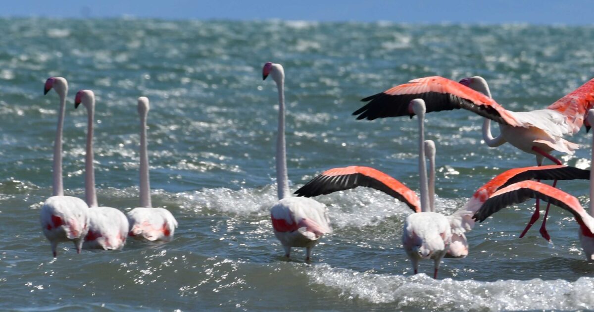 Nafplio: Flames of rare beauty in the Argolic Sea