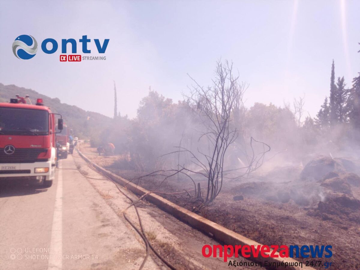 Η φωτιά στην Πρέβεζα