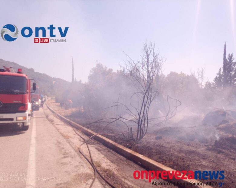 Φωτιά στην Πρέβεζα: Επιχειρούν ισχυρές εναέριες δυνάμεις – Ήχησε το 112 για «ετοιμότητα» σε Αηδόνι, Νάρκισσο και Βουβοπόταμο