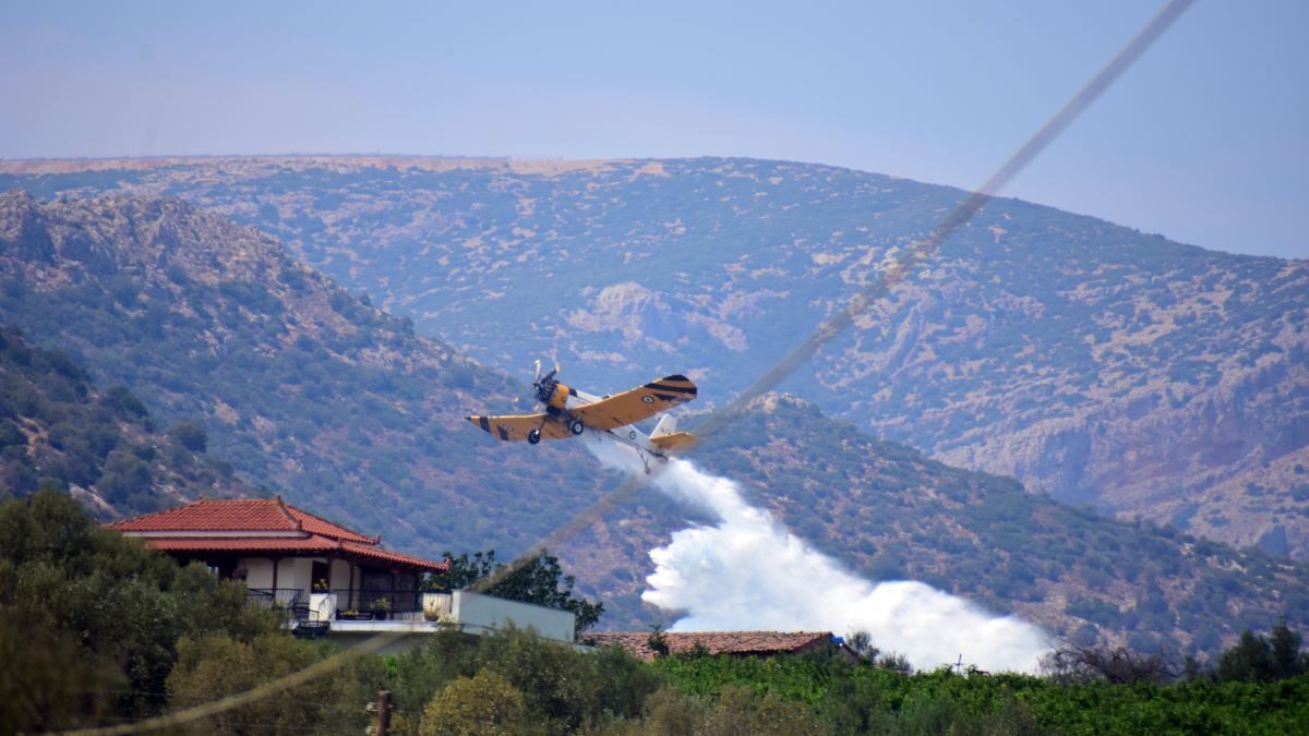 Φωτογραφία αρχείου