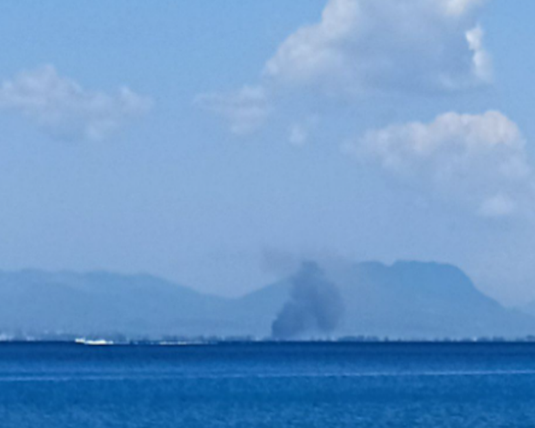 Φωτιά στην Καλαμάτα στην περιοχή Μπιρμπίτα – Επιχειρούν οι επίγειες δυνάμεις της Πυροσβεστικής
