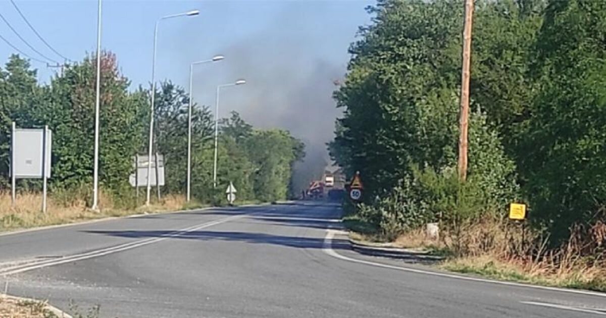 Kozani: Fire in Kouri Grove – Immediate Mobilization of Fire Brigade