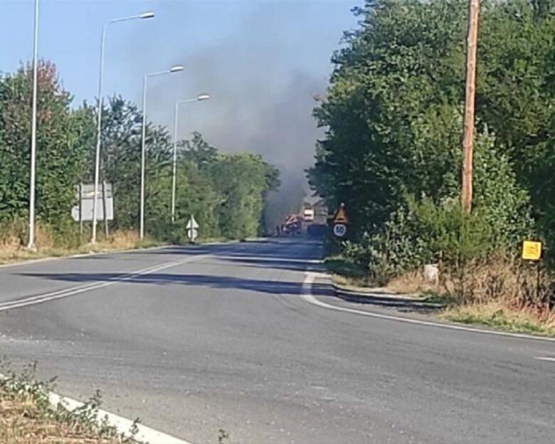 Κοζάνη: Φωτιά στο άλσος Κουρί – Άμεση κινητοποίηση της Πυροσβεστικής