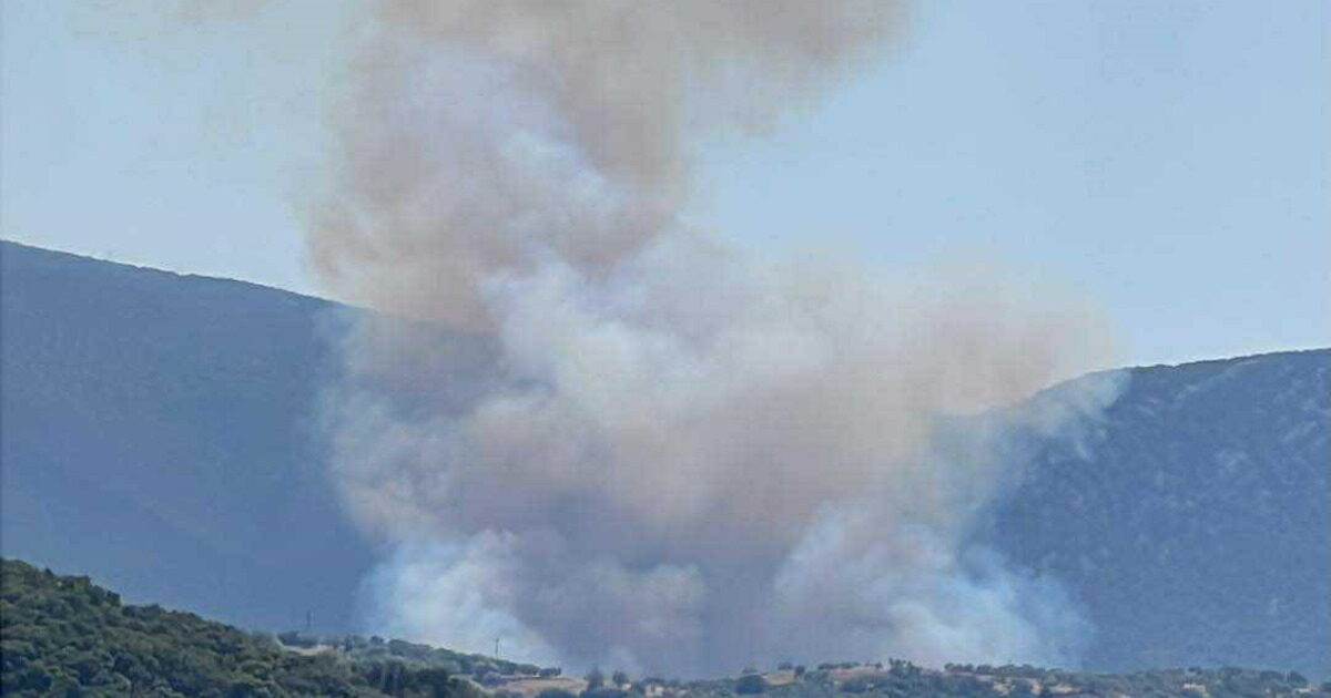 Fire in Kranidi Argolida – They also attempt aerial powers