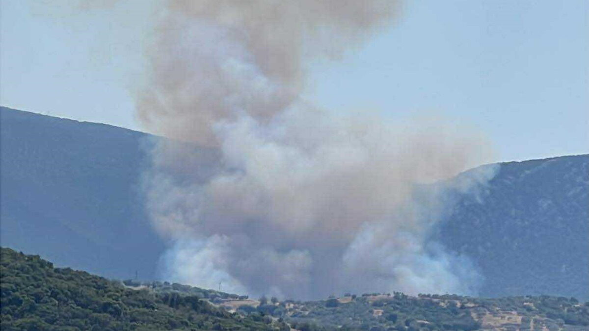 Φωτιά στην Αργολίδα