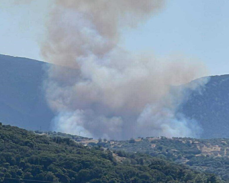 Φωτιά στο Κρανίδι Αργολίδας – Επιχειρούν και εναέριες δυνάμεις