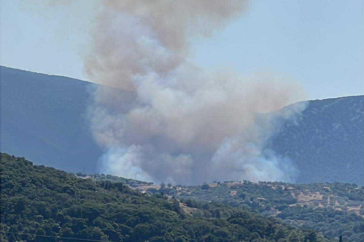Φωτιά στην Αργολίδα