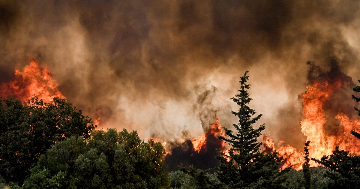 Fire in Lesvos, Tuesday in a few hours on the island – immediate mobilization of firefighters