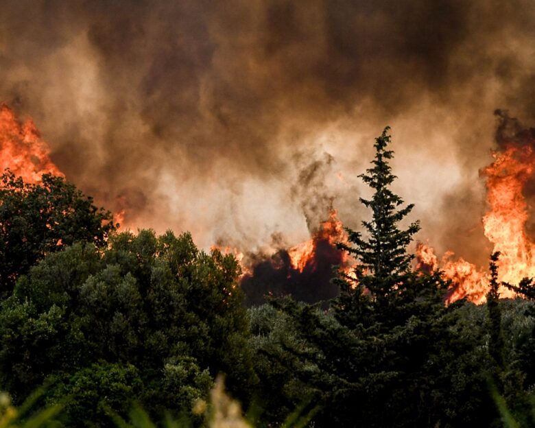 Μάχη με 106 πυρκαγιές σε όλη Ελλάδα – Έρευνες για εμπρησμούς και βοήθεια με αεροσκάφη από τον Ευρωπαϊκό Μηχανισμό Πολιτικής Προστασίας