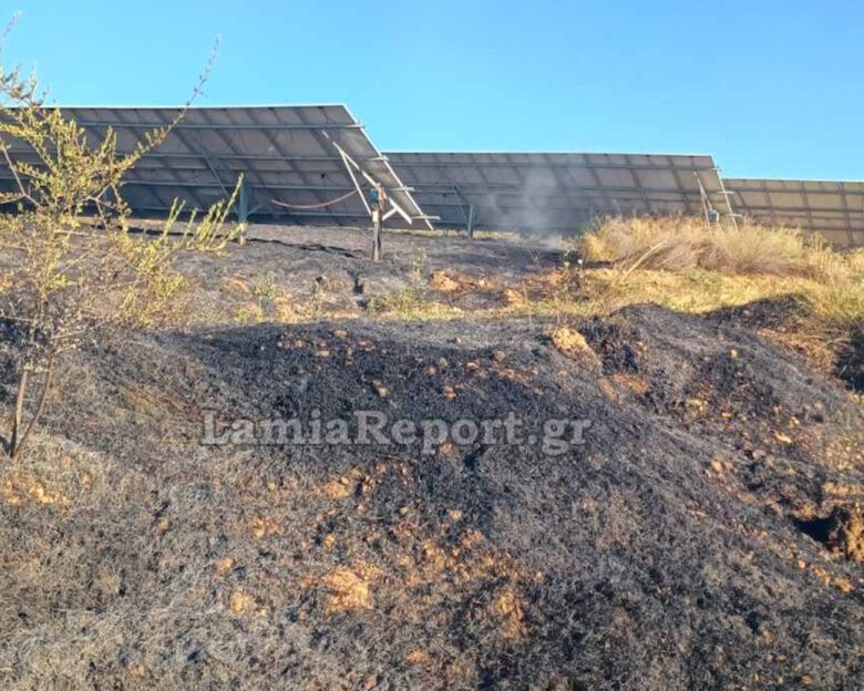 Φωτιά σε δασική έκταση στον Άγιο Στέφανο Δομοκού – Καίει δίπλα σε φωτοβολταϊκό πάρκο