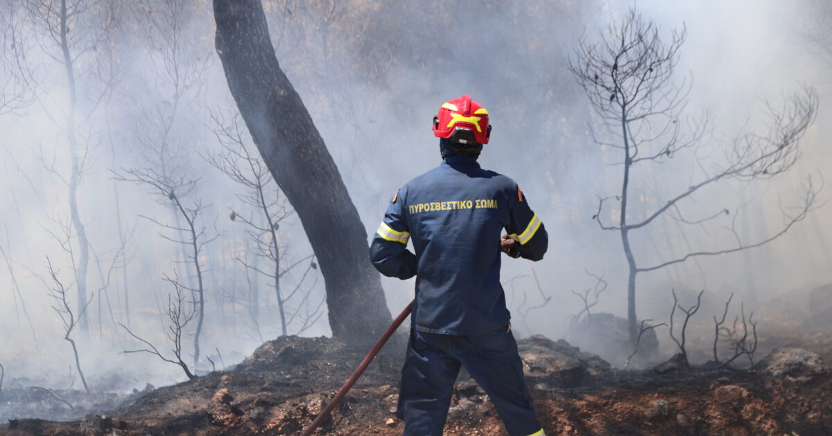 Fire in Vrysoula Preveza: In recession the fire decreased, the tension of the winds decreased