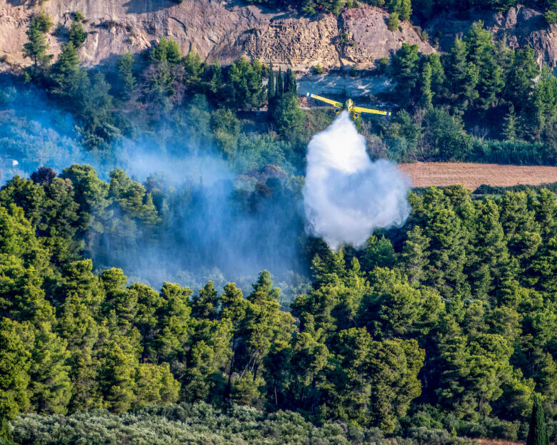 Φωτιά στο Λασίθι: Κάηκαν 17 στρέμματα δάσους κοντά στο χωριό Ανδριανός