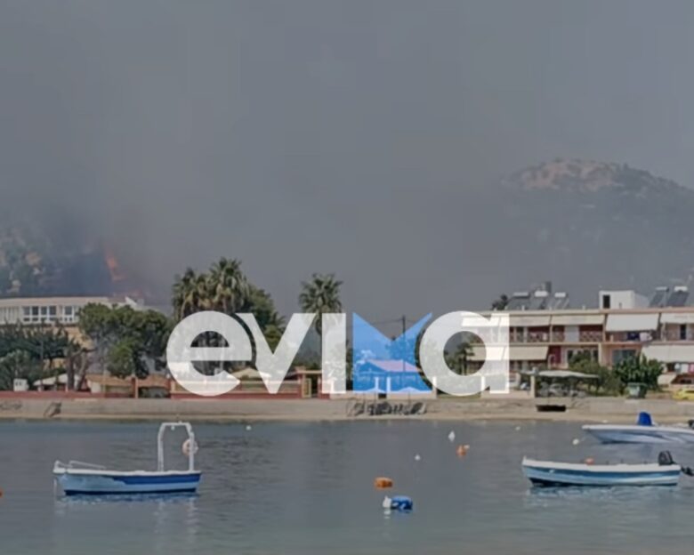 Φωτιά στην Εύβοια κοντά στην Αιδηψό – Ισχυρές πυροσβεστικές δυνάμεις στο σημείο