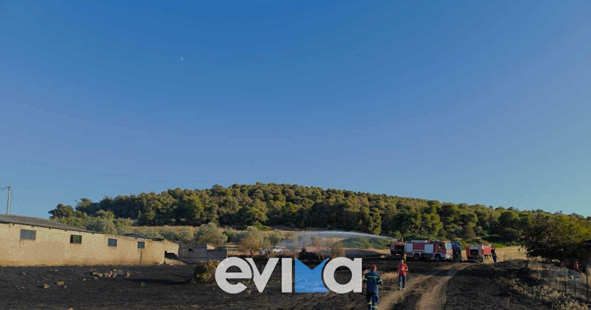 Fire in Evia: Volunteer Firefighter injured – Transferred to Chalkida Hospital