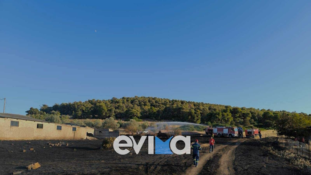 Φωτιά στην Εύβοια