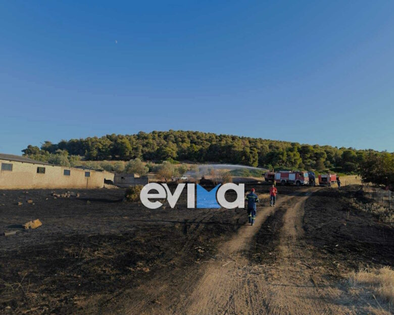 Φωτιά στην Εύβοια: Τραυματίστηκε εθελοντής πυροσβέστης – Μεταφέρεται στο νοσοκομείο Χαλκίδας
