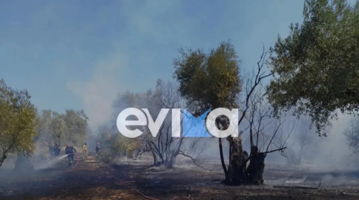 Φωτιά στη Βόρεια Εύβοια