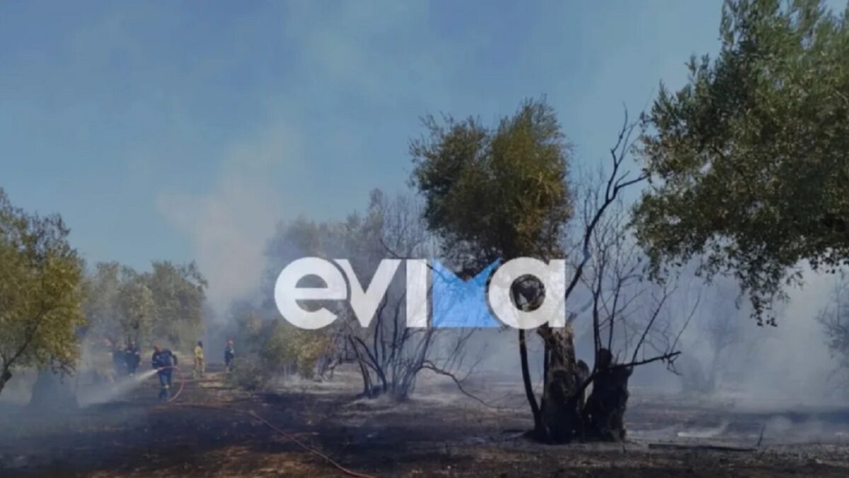 Φωτιά στη Βόρεια Εύβοια