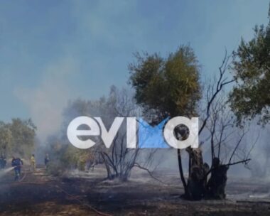 Φωτιά στη Βόρεια Εύβοια