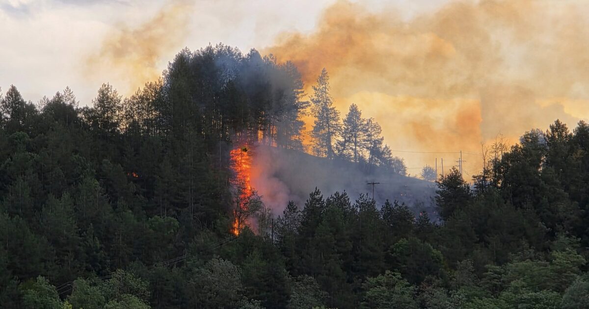 Fire in 4 different fireplaces in a forest area in Grevena – sounded 112 for “readiness”