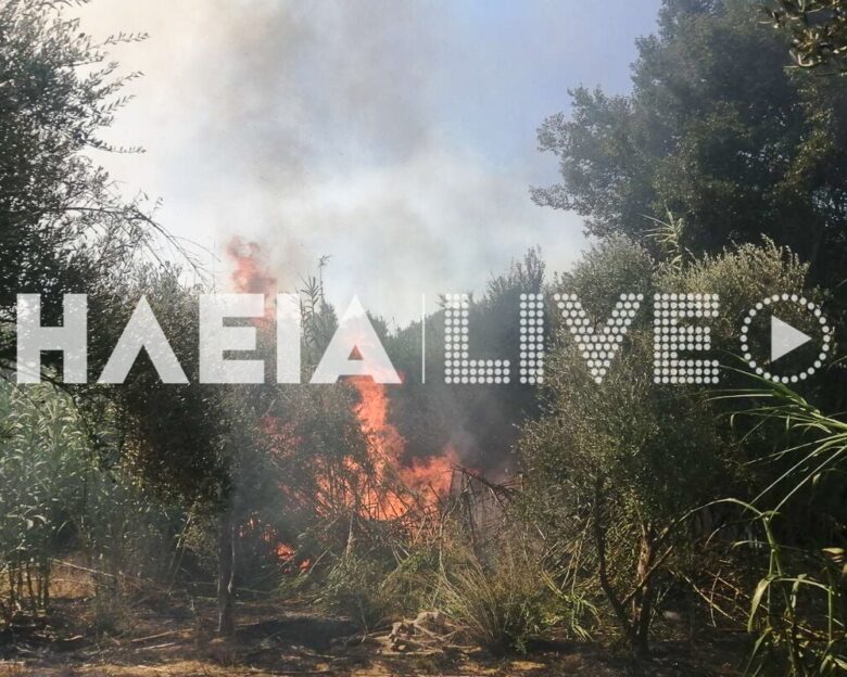 Φωτιά στα Λεχαινά Ηλείας, στην περιοχή Μέλισσα – Μήνυμα από το 112 για ετοιμότητα