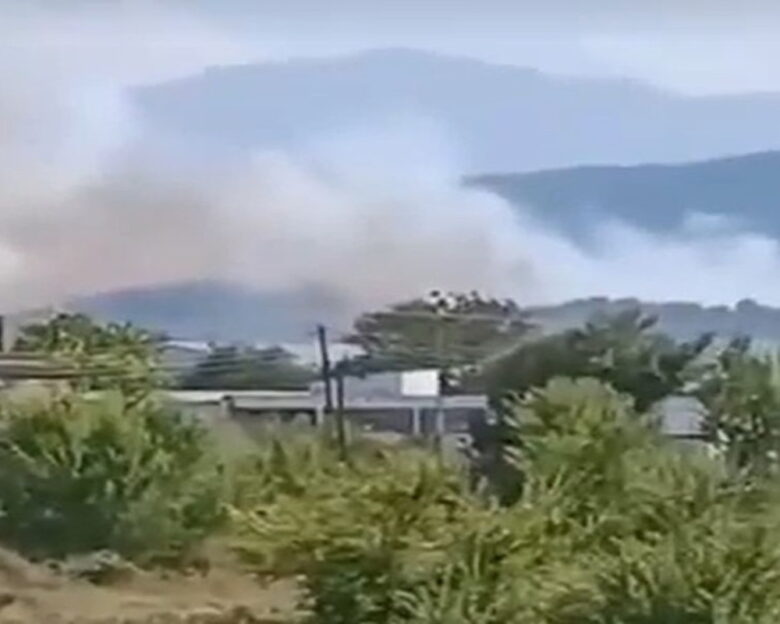 Φωτιά στην Κρύα Βρύση Καρδίτσας – Ήχησε το 112 για «ετοιμότητα»