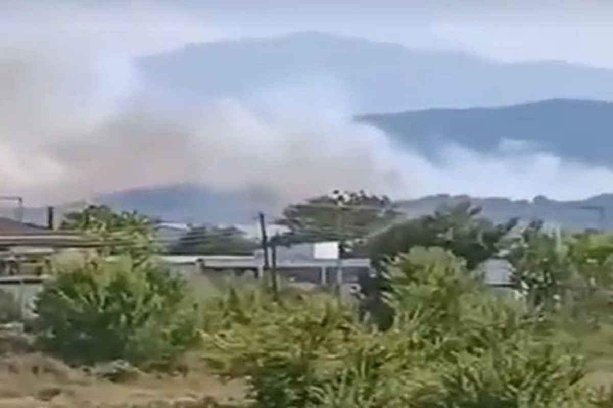Η φωτιά στην Καρδίτσα