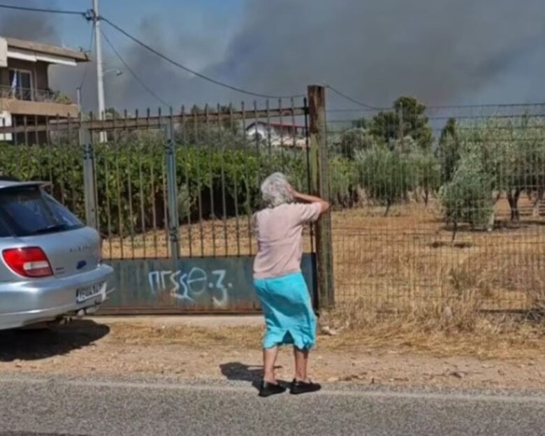 Φωτιά στην Κερατέα: Σπαρακτικές εικόνες στα μέτωπα – «Πάει το δασάκι μου, τελευταία φορά που σε βλέπω»
