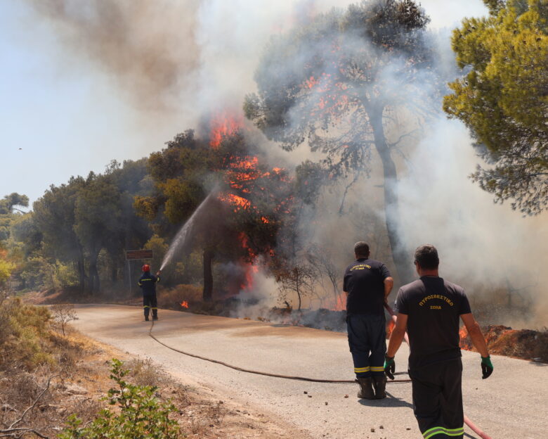 Φωτιά στη Νεάπολη Αγρινίου: Μεγάλη κινητοποίηση της πυροσβεστικής