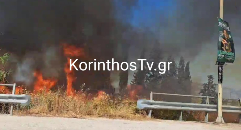 Φωτιά στο Περιγιάλι Κορινθίας – Ισχυρές δυάμεις στο σημείο