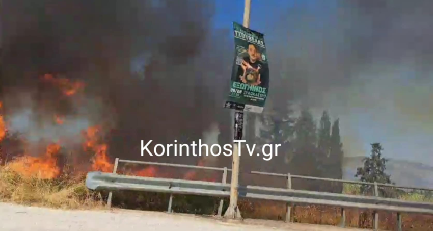 Φωτιά στην Κορινθία / φωτό από korinthostv