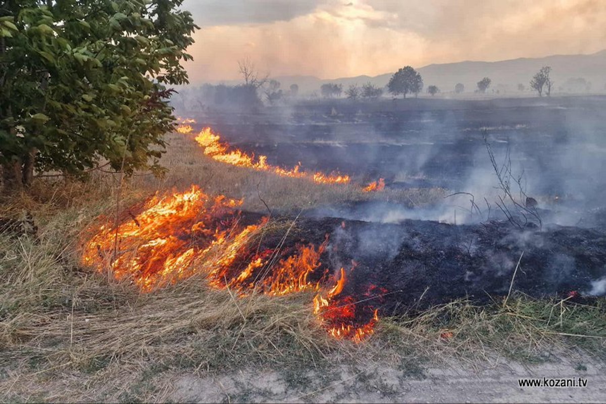 Φωτιά στην Κοζάνη λόγω κεραυνών – Επιχειρούν ισχυρές δυνάμεις της πυροσβεστικής