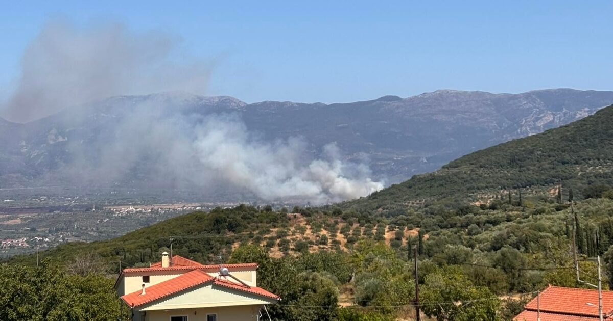 Fire in Messinia: They also got up for the fire in Meligala