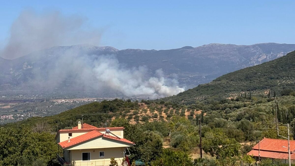 Φωτιά στον Μελιγαλά