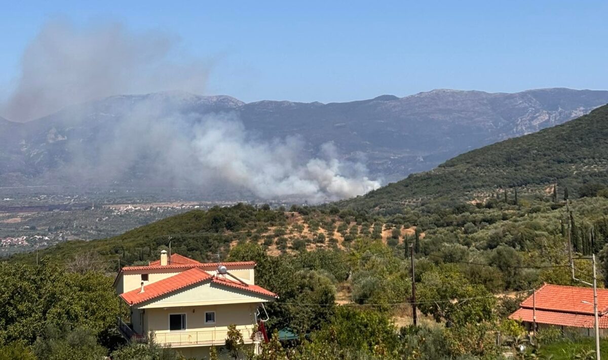 Φωτιά στον Μελιγαλά
