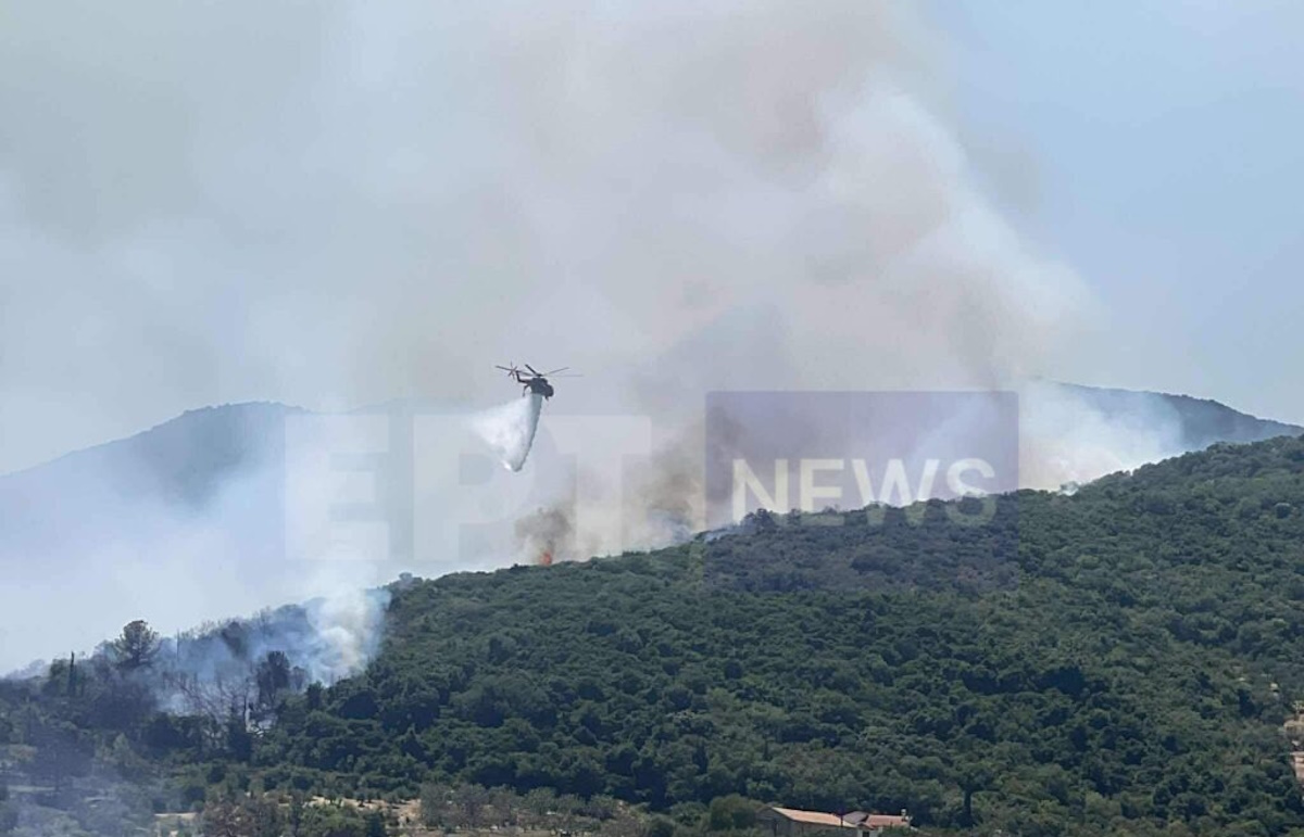 φωτιά στη Μεσσηνία